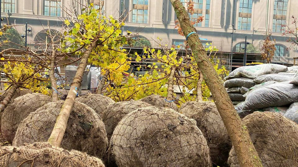 „Szuper zöld” lesz a megújuló Blaha Lujza tér