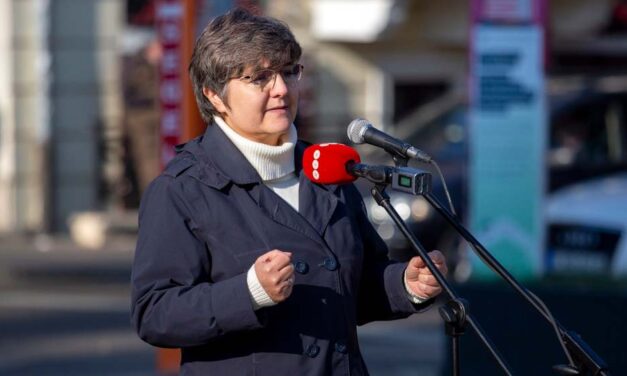 Botrány az 1. kerületben: előrehozott választással buktatnák meg V. Naszály Mártát