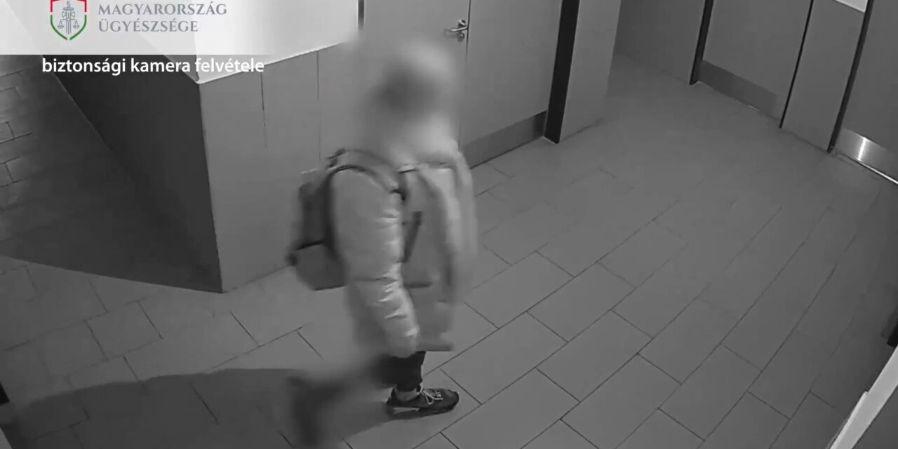 Iskolás gyereket károsított meg a notórius fővárosi tolvaj, hosszú ideig fegyházban marasztalnák