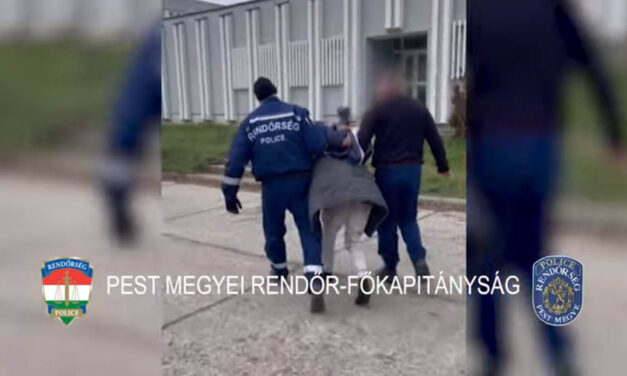 Videón, ahogy bilincsbe verve viszik el a Gödöllő környéki házak fosztogatóját