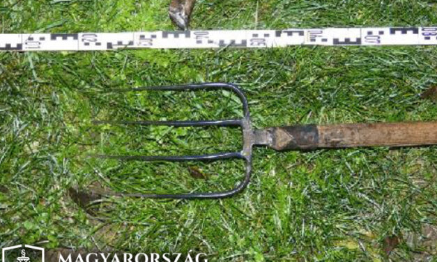 „Nem megyek veletek, dögöljetek meg” – kiabálta a rendőröknek a vasvillát lóbáló férfi a Pest megyei városban