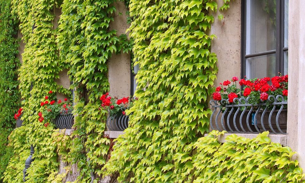 Meglepő módon növelnék Budapest zöldfelületeit: drasztikusan megváltozhat a döntés nyomán a fővárosi épületek utcai homlokzata