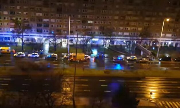 Kivonult a TEK és a rendőrség Óbudára – egy segítségért kiáltozó lakó miatt riasztották az egyenruhásokat