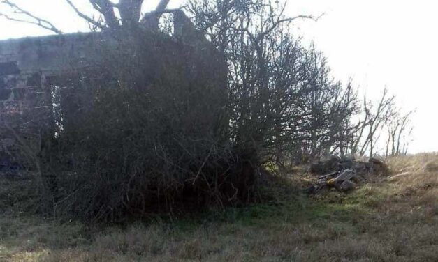 „Valaki biztosan szerette ezt a nőt” – először az áldozat alsó-, majd a felsőtestét találta meg az a férfi, aki nem hitt a szemének. Hiányzik az állkapocs, nehéz lesz az azonosítás