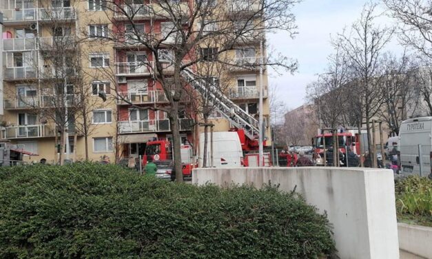 Tűz egy újpalotai tízemeletesben – nem volt otthon a tulajdonos, kimentették a kutyáját a helyszínre érkező rendőrök. Nyolc lakást ürítettek ki az oltás idején