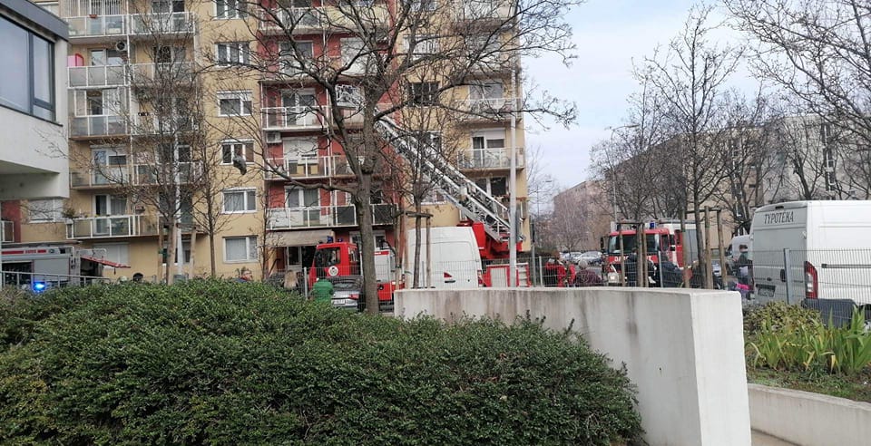 Tűz egy újpalotai tízemeletesben – nem volt otthon a tulajdonos, kimentették a kutyáját a helyszínre érkező rendőrök. Nyolc lakást ürítettek ki az oltás idején