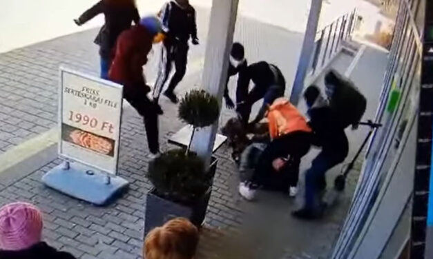 Németországban kaptak el néhány olyan antifasisztát, akik Budapesten vertek meg embereket a kitörés napja előtt