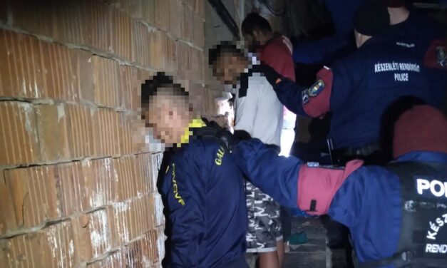 Kistarcsán és Kerepesen akcióztak a rendőrök – mindent vittek, ami mozdítható volt, egy bevásárlókocsi is kevés volt a lefoglalt értékek összegyűjtéséhez