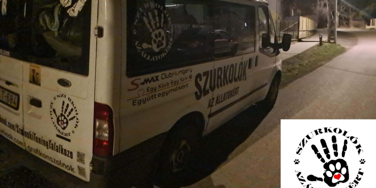 Állatkínzás Pest vármegyében – egy tűzoltó végezhetett egy 81 éves nő kutyájával, Borisszal, akit mindenki szeretett településen