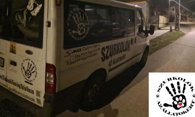 Állatkínzás Pest vármegyében – egy tűzoltó végezhetett egy 81 éves nő kutyájával, Borisszal, akit mindenki szeretett településen