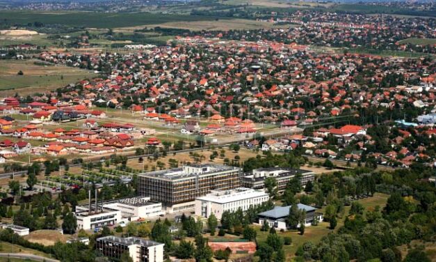 Kiakadt a kistarcsai polgármester – nyílt levélben kéri az elviselhetetlen fokhagymaszag csillapítását