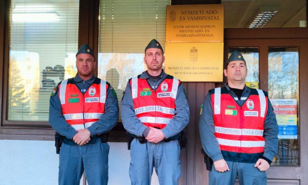 Autóra dőlt a fa a viharban- egy fiatal nő életéért küzdöttek a NAV-osok az 1-es főúton