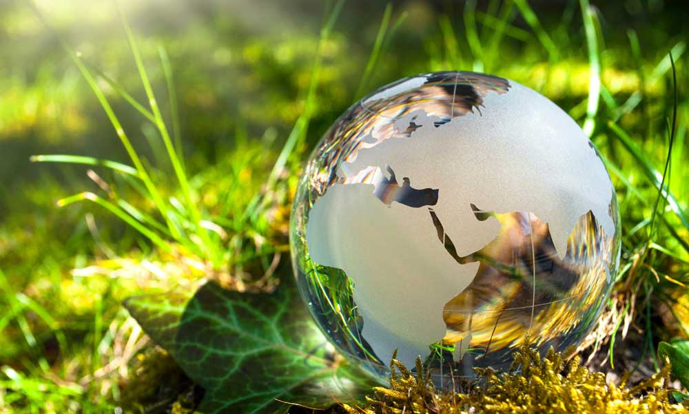 Energiahatékonyság és startupok: új lehetőségek a zöldebb jövőért