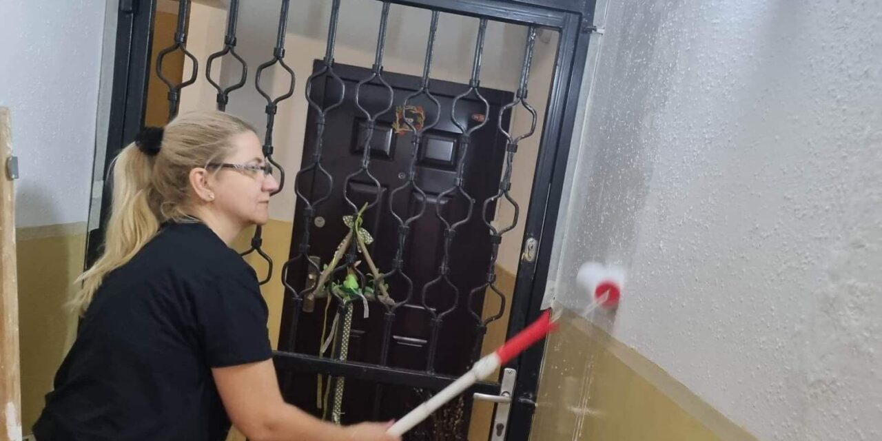 Rászoruló családoknak vállal szobafestést az édesanya, aki maga is albérletben lakik