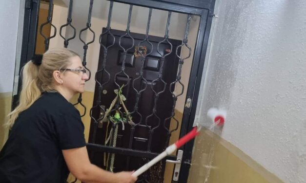 Rászoruló családoknak vállal szobafestést az édesanya, aki maga is albérletben lakik