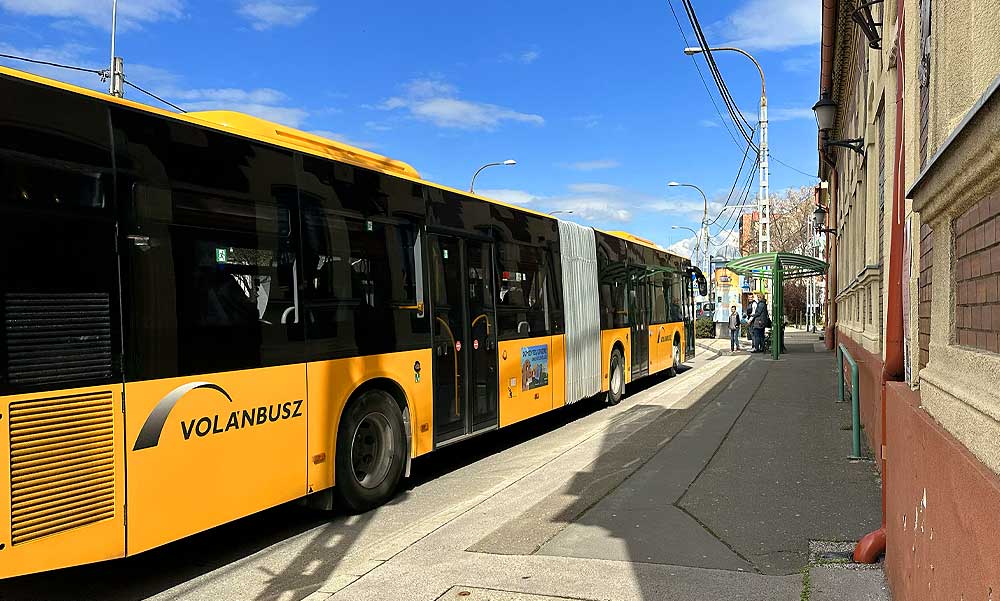 Döbbenet: úgy üvöltözött az autista kisfiúval a sofőr, hogy a gyerek pánikrohamot kapott a buszon