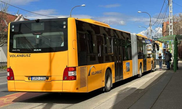 Rácsukta az ajtót egy gyerekre a buszsofőr, majd elhajtott – máshogy emlékeznek a történtekre az érintettek