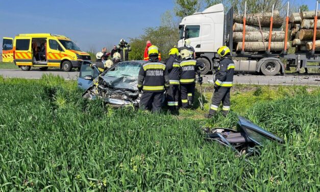 Egy fákat szállító kamion lett a favágó fiú végzete