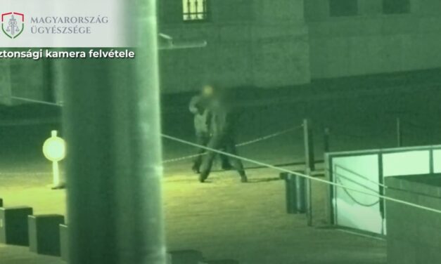 Videón, ahogy egy piás férfi ököllel támadt az Országgyűlési Őrség egyik tagjára
