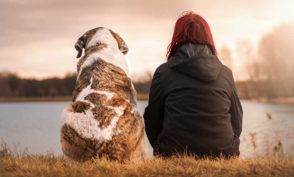 A kutya, az ember legjobb barátja