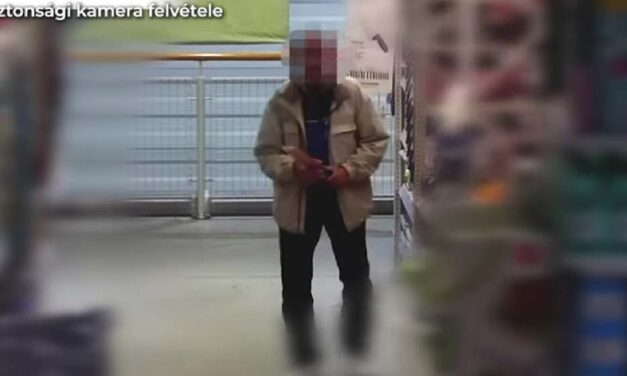 Másfél évig börtönben kell lennie annak a férfinak, aki késeket és ollókat lopott az újbudai OBI-ból