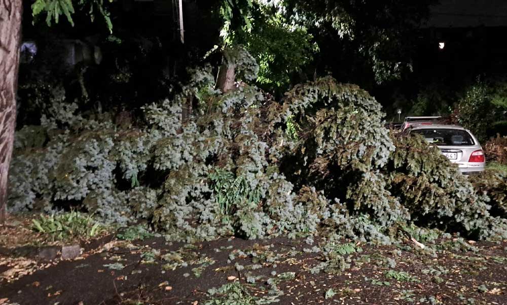 Félelmetes vihar söpört át az éjjel Budapesten, fák dőltek ki, lakások áztak be Zuglóban, leszakadt vezetékek a MÁV-nál – Fotók