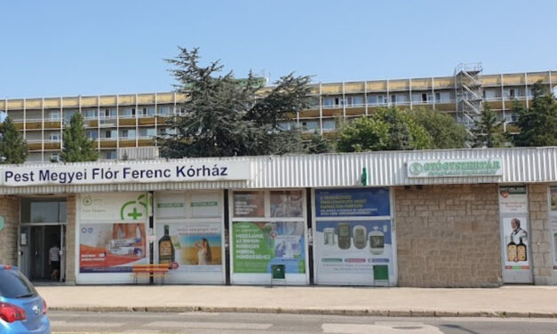 Ugyanazon a napon, majdnem két nő is belehalt a szülésbe a kistarcsai kórházban: a kismamákat egy rezidensre bízták