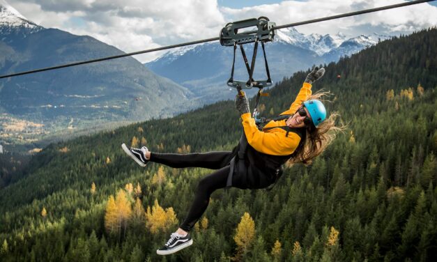 Komoly vita alakult ki az ország leghosszabb zipline pályájának ötletével a 12. kerületben