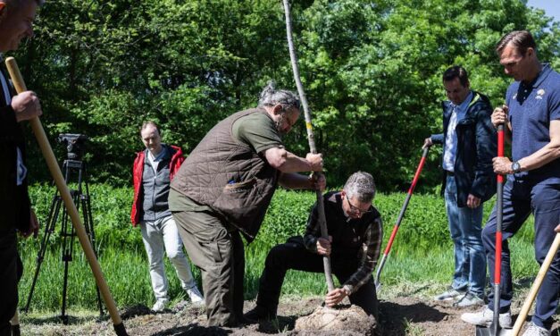 Harminc facsemetét rongáltak meg Pesterzsébeten, a Pilisi Parkerdő feljelentést tett