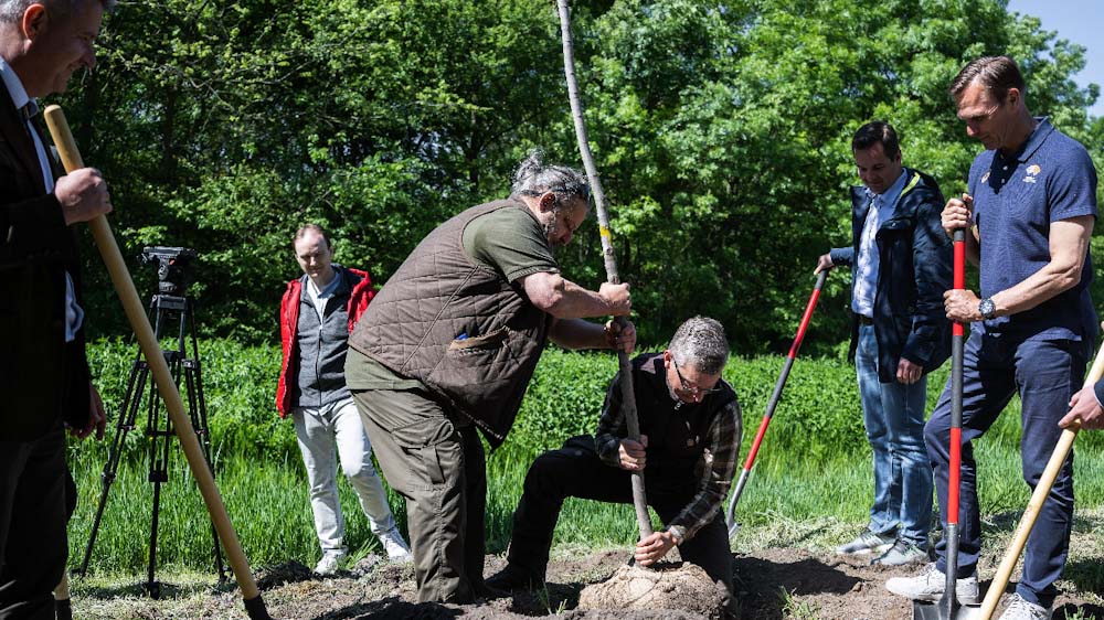 Harminc facsemetét rongáltak meg Pesterzsébeten, a Pilisi Parkerdő feljelentést tett