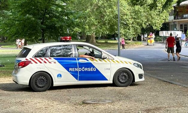 Eltűnt egy 6 éves váci kisfiú, édesanyja szerint apja vihette el: nemzetközi körözést adott ki a rendőrség – fotó a cikkben