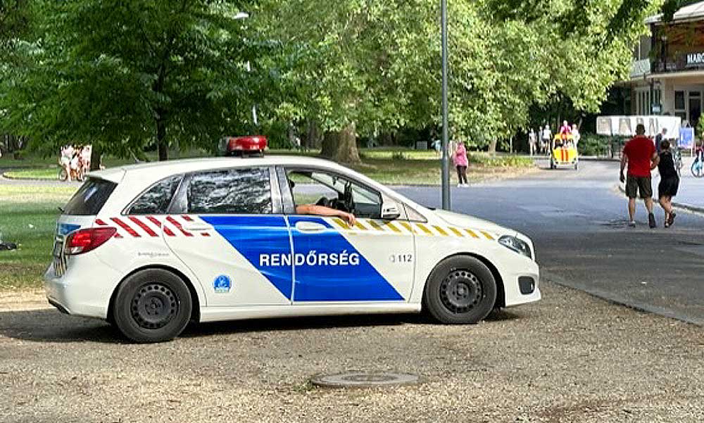 Eltűnt egy 6 éves váci kisfiú, édesanyja szerint apja vihette el: nemzetközi körözést adott ki a rendőrség – fotó a cikkben