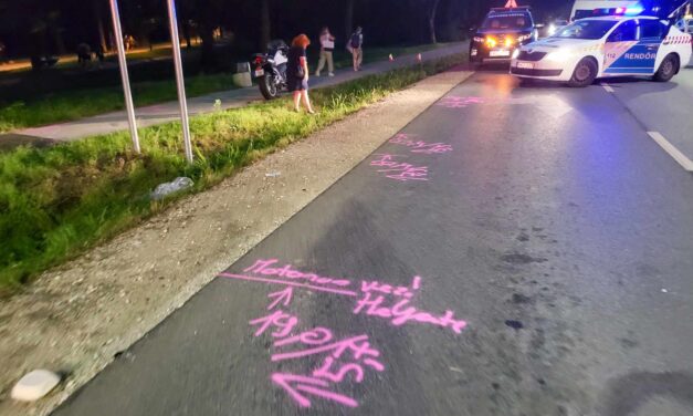 “A kocsi lerobbant pont az átjáróban”- idős házaspár halt meg a gödi vasúti balesetben