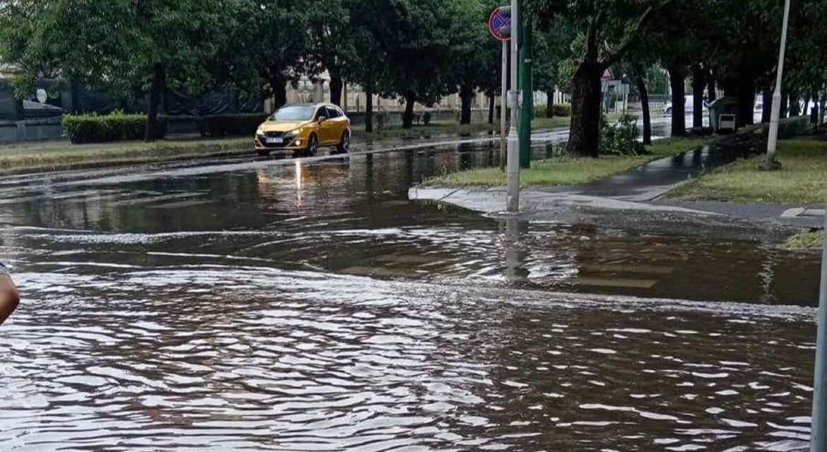 „A természet ismét büntet” – ítéletidő Cegléden: fák dőltek ki, állt a víz az úttesten