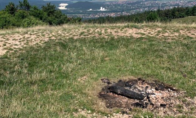 „Igazgató úr kizárólag az alkalmatlanságát bizonyította” – Menczer Tamás ismét beszólt a Duna-Ipoly Nemzeti Park vezetőjének