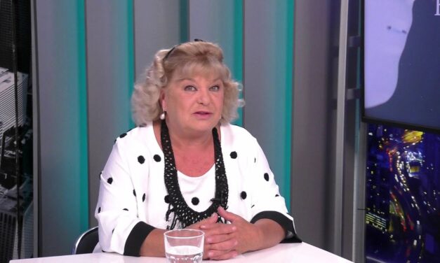 „Az én házamat, udvaromat sem kímélte a szél” – teljesen letarolta a vihar Oszvald Marika gödöllői kertjét
