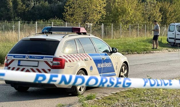 „Csak rá akartam ijeszteni” – majdnem megölte férjét egy nő, miután a férfi nem adott piát neki