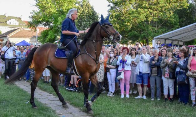 „Sosem éltem át még ehhez hasonlót sem” – Kegyetlenül megtépázta a vihar Sasvári Sándor csömöri birtokát