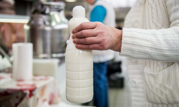 12 ezer liter maró tej került a boltok polcaira, vizsgálat indult az egyik legnépszerűbb diszkontláncban