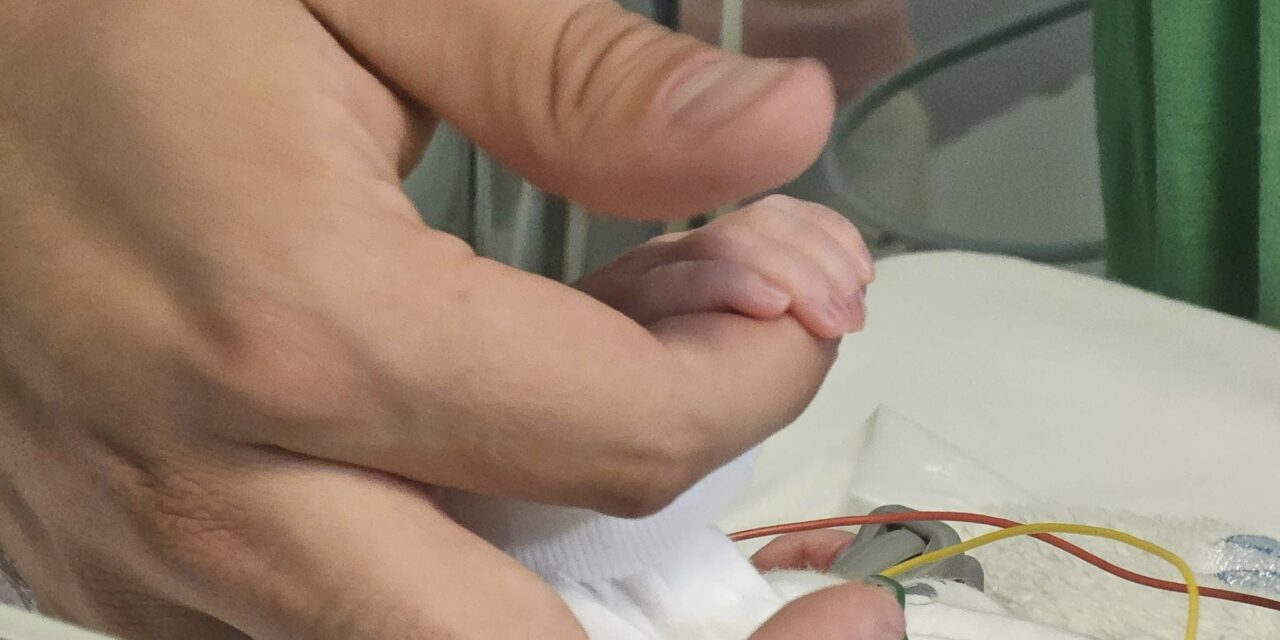 „Észrevettem, hogy egy kis kéz mozog ott” – megszólalt a pék, aki megtalálta a kecskeméti kórház elé letett csecsemőt