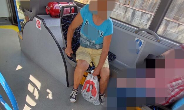Nejlonzacskóba csomagolta kiskutyáját egy nő a 30-as buszon, egy utas mentette meg a yorkit