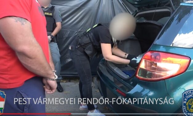 Zsaruk szakították félbe az illegális bizniszt Pest megyében: döbbenetes, amit a helyszínen találtak – videó