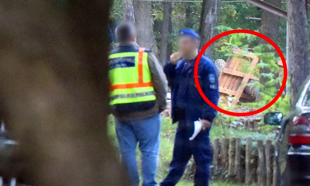 Meghalt egy 16 éves fiú kalandparkban, ketten is felelősek a tragédiáért
