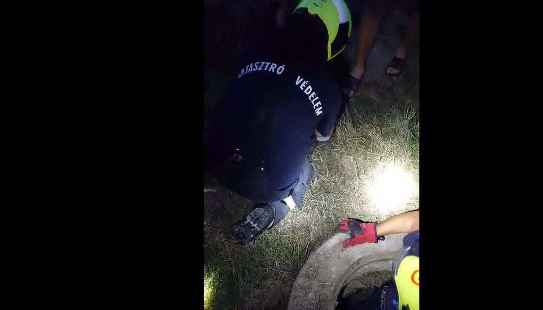 Tűzoltók mentették ki a csatornába zuhant Fannikát Gödöllőn – videó