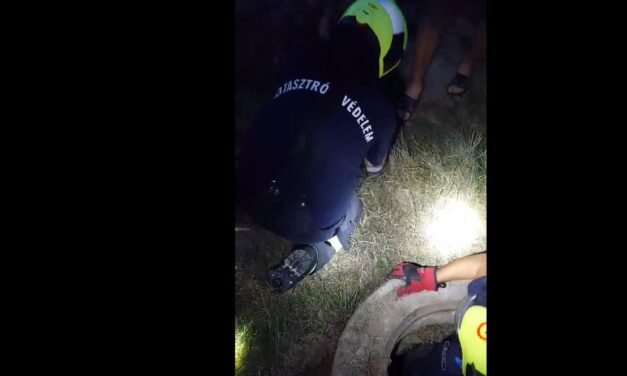 Tűzoltók mentették ki a csatornába zuhant Fannikát Gödöllőn – videó