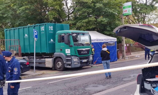 Őrizetbe vették a papírszállító teherautó sofőrjét a 9 éves Ricsi halála után