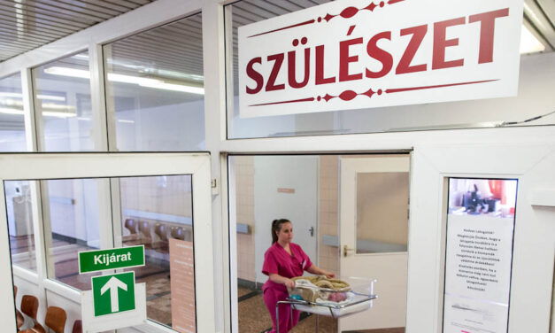 „A lányom férje hiába jelezte, hogy baj van, nem cselekedtek” – még mindig nem tudni, kinek a hibája miatt halt meg ikerszülése után Renáta