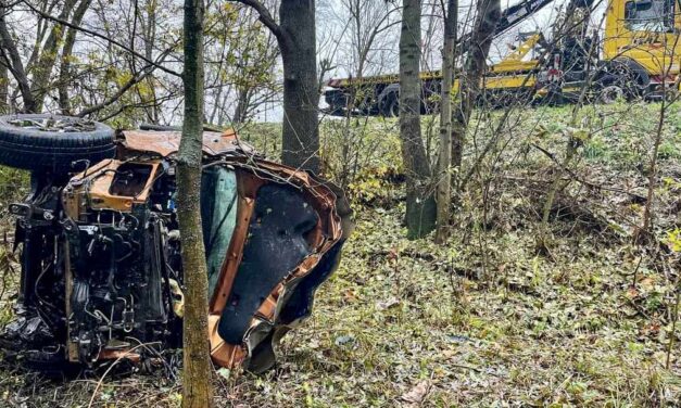 Elaludt a pickup sofőrje a bicskei elkerülőn, lesodródott az útról és több fát kiöntött