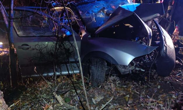 Őz okozott balesetet Pátyon, súlyos sérülésekkel szállították kórházba a sofőrt – helyszíni fotók