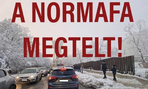 Megtelt a Normafa! Annyian akartak szánkózni, teljesen bedugultak az utak, a rendőrök nem engedik fel az autósokat